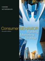 Consumer Behavior: Building Marketing Strategy
